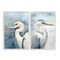Stupell Industries Watercolor Detailed Beach Birds 2 pc Framed Giclee Wall Art Set Design by Petal Prints Design